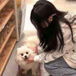 laurum online汉化版下载